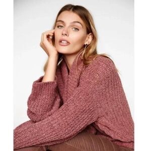 EXPRESS | Mauve Chenille Turtleneck Sweater